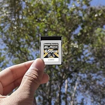 Amazon.com: Delkin Devices Black 650GB CFexpress 4.0 Type B